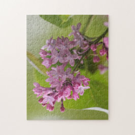 Lila Lilac Puzzle Pussel