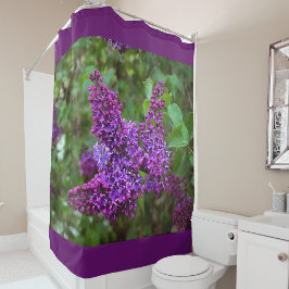 Lila Lilacs en Vår Day