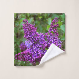 Lila Lilacs en Vår Day