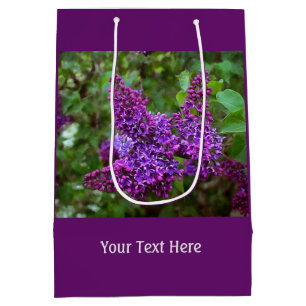 Lila Lilacs en Vår Day