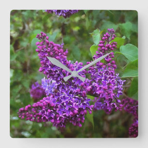Lila Lilacs en Vår Day Fyrkantig Klocka