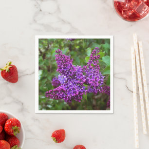 Lila Lilacs en Vår Day Pappersservett