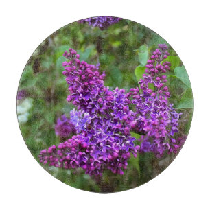 Lila Lilacs på en Vår dag