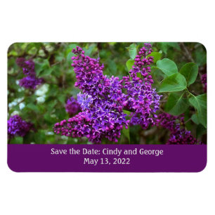Lila Lilacs på en Vår-dag - Spara datum Magnet