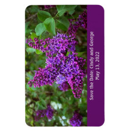 Lila Lilacs på en Vår-dag - Spara datum Magnet