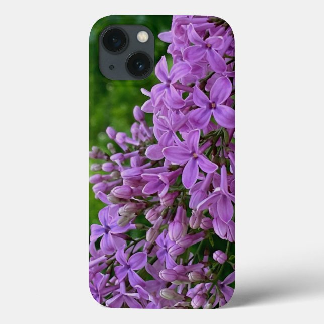 Lila lilacs romantisk elegant lila blommigt foto a (Baksida)
