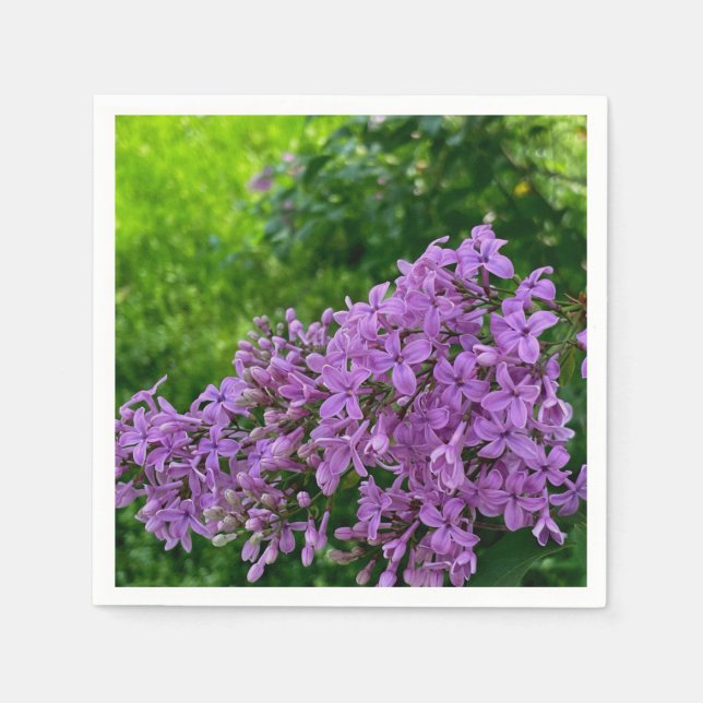 Lila lilacs romantisk elegant lila blommigt foto a pappersservett (Framsidan)