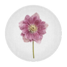 Lila Lily Flower Glass Cshing Board 12 tum