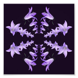Lila Lily Flowers Spegel Abstrakt Art 8x8 Fototryck