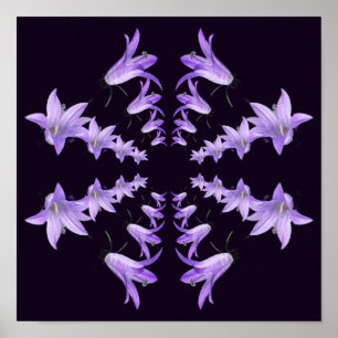 Lila Lily Flowers Spegel Abstrakt Art Poster
