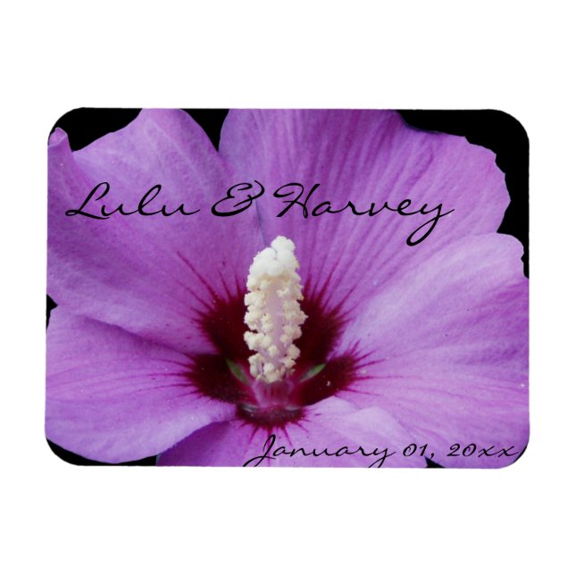 Lila Lily Up Close Magnet (Horisontell)
