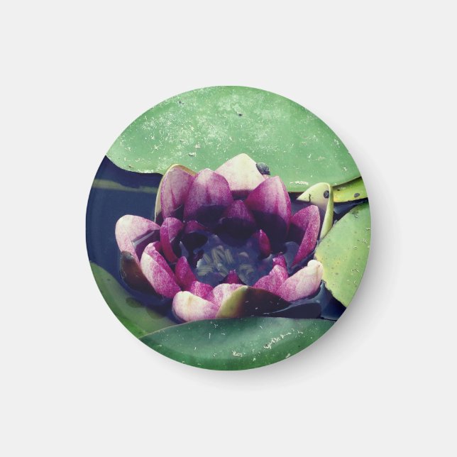 Lila Lotus Flower Photo MagnetPurple Lotus Magnet (Framsidan)