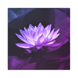 Lila Lotus Metall Wall Art