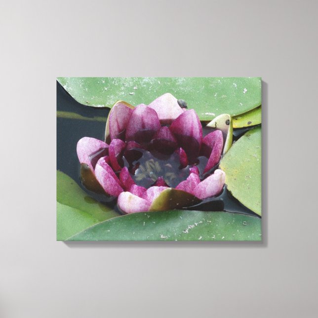 Lila Lotus Photography Single Print Canvastryck (Framsida)