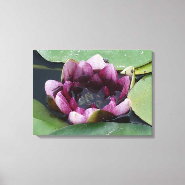 Lila Lotus Photography Single Print Canvastryck (Framsida)