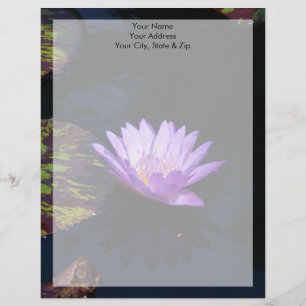 Lila Lotus Vattenlilja Blomma & Randiga Näckrosbla Brevhuvud