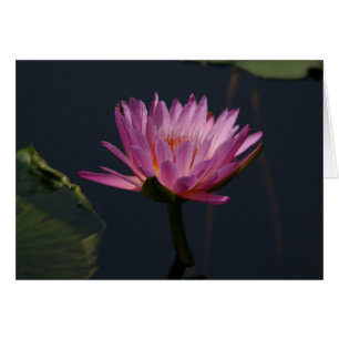 Lila Lotus Waterlily Card Hälsningskort
