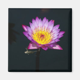Lila Lotus Waterlily Dragonfly Nymph magnet