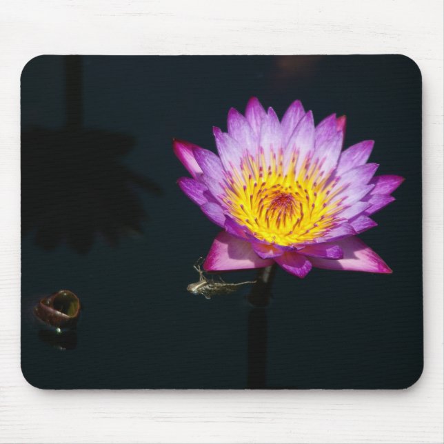 Lila Lotus Waterlily & Dragonfly Nymph Mouse Pad Musmatta (Framsidan)