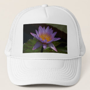 Lila Lotus Waterlily Hat Keps