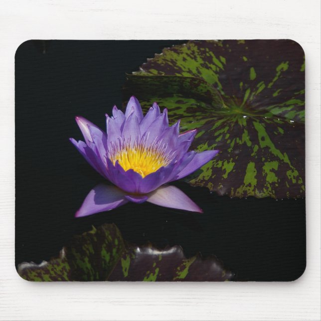 Lila Lotus Waterlily Mouse Pad Musmatta (Framsidan)