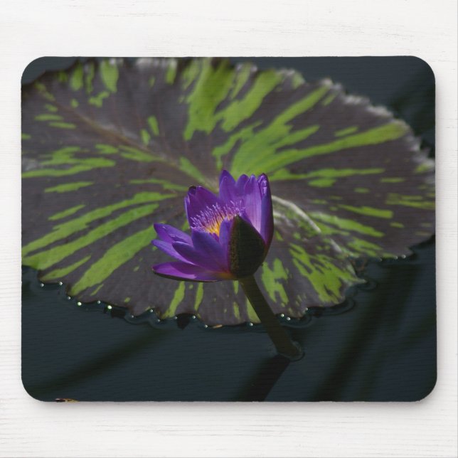 Lila Lotus Waterlily Mouse Pad Musmatta (Framsidan)