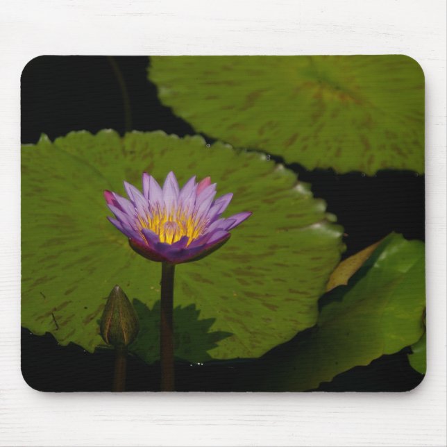 Lila Lotus Waterlily Mouse Pad Musmatta (Framsidan)