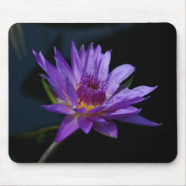 Lila Lotus Waterlily Mousepad Musmatta