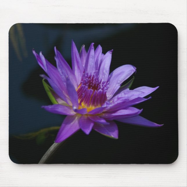 Lila Lotus Waterlily Mousepad Musmatta (Framsidan)