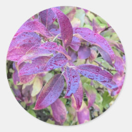 Lila löv på klistermärken