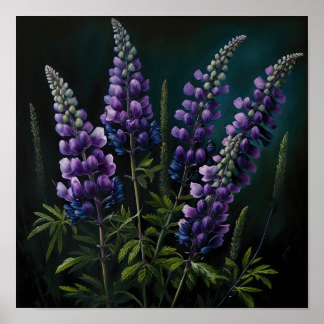 Lila lupinblomma konsttryck poster (Framsidan)