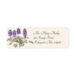 Lila Lupine-adressetikett Returadress Etikett