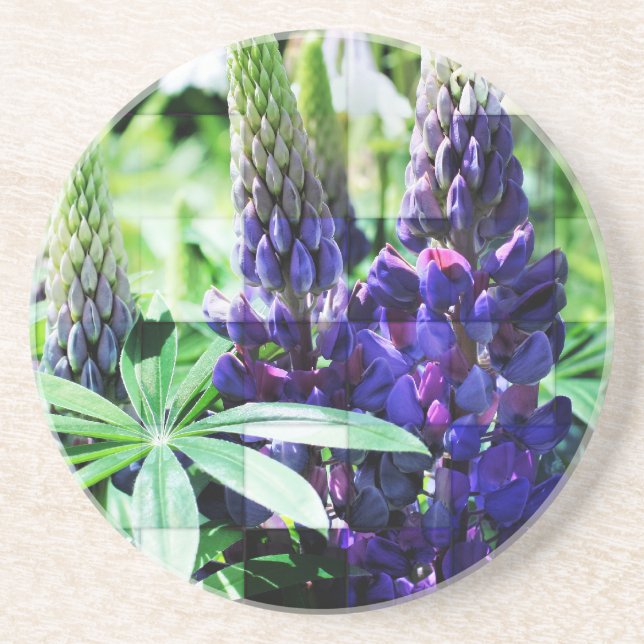 Lila Lupine Blommigt Underlägg (Framsidan)