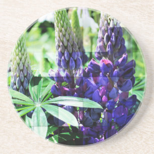 Lila Lupine Blommigt Underlägg Sandsten