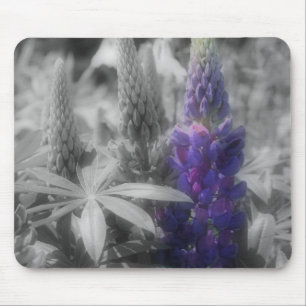 Lila Lupine Flowers Black and White Mousepad Musmatta