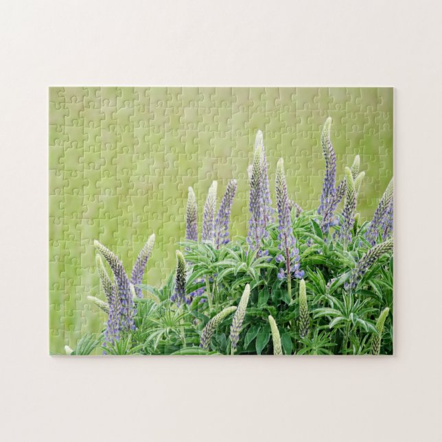 Lila Lupine Flowers Pussel (Horisontell)