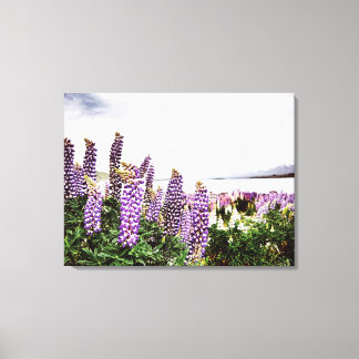 Lila Lupins Flowers: Nya Zeeland Canvas