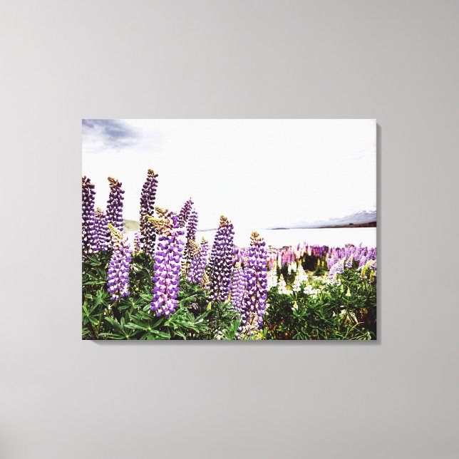 Lila Lupins Flowers: Nya Zeeland Canvas (Framsida)