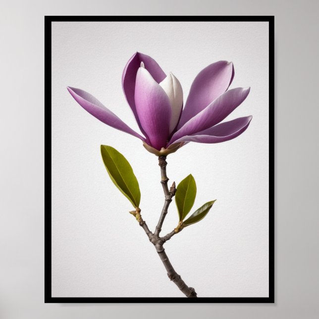 Lila magnolia-blomma, Magnolia felix Wall Poster (Framsidan)