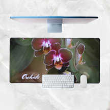 Lila Maron och White Orchid Blommar Blommigt
