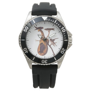 Lila Martin Audubon Birds with Gourd Home Armbandsur