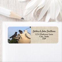 Lila Martin Birds Nature Returadress Birding