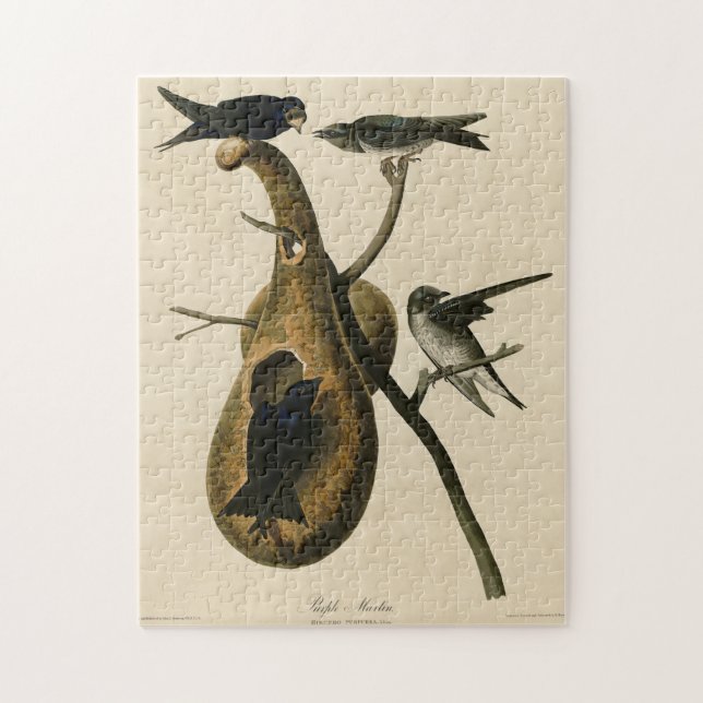 Lila Martin från Audubon's Birds of America Pussel (Vertikal)