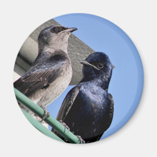 Lila Martin Mates Magnet