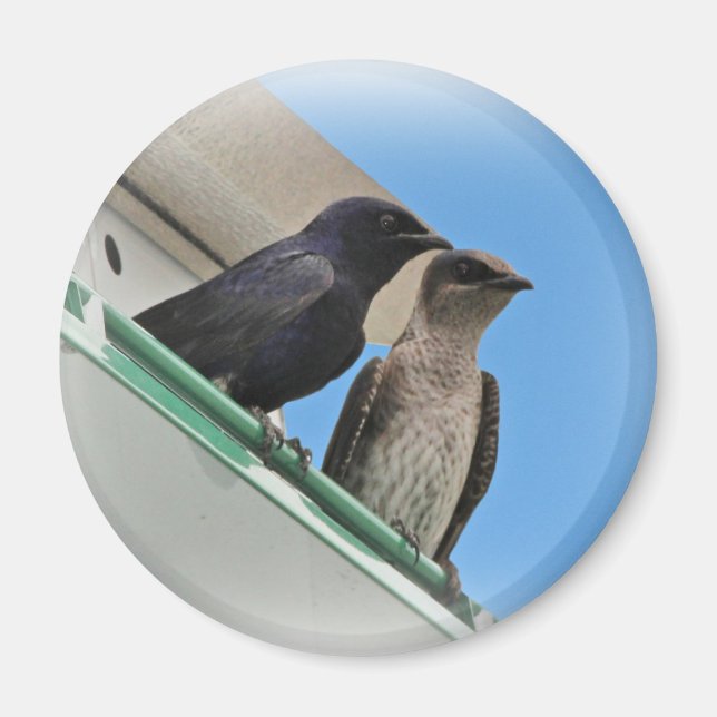 Lila Martin Mates Magnet (Framsidan)