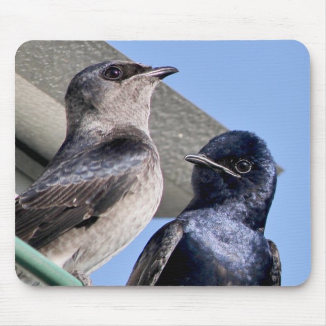 Lila Martin Pair Musmatta (Framsidan)