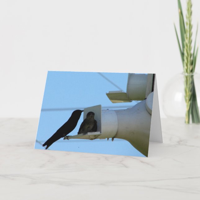 Lila Martins Kort (Framsida)