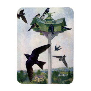 Lila Martins och deras fågelhus Magnet