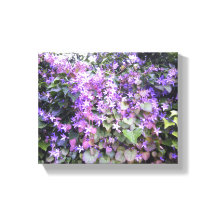 Lila / Mauve Flower Photo Canvas