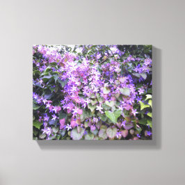 Lila / Mauve Flower Photo Canvas